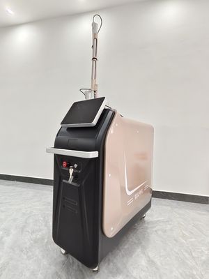 755nm 2700W Skin Rejuvenation Nd Yag Tato Removal Laser Machine Untuk Penghapusan Tato